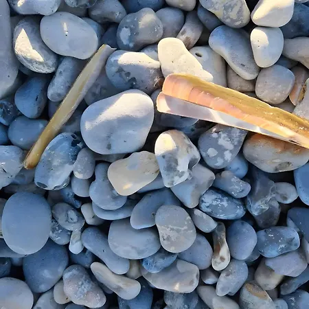 Hébergement de vacances Lilas De Ponthoile