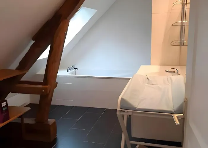 Lilas De * Ponthoile